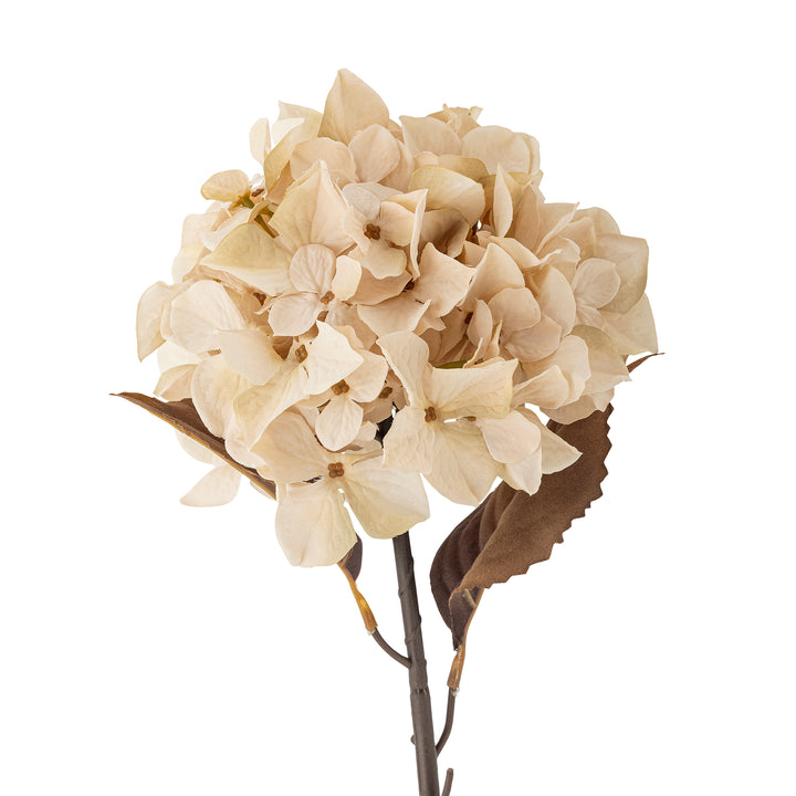 Hydrangea Stilk, Natur, Kunstig Blomst