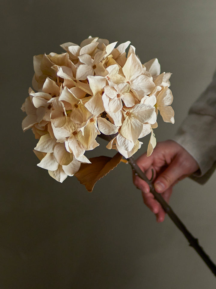 Hydrangea Stilk, Natur, Kunstig Blomst