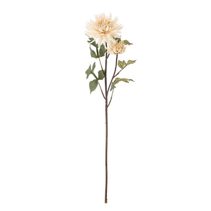 Chrysantemum Stilk, Natur, Kunstig Blomst