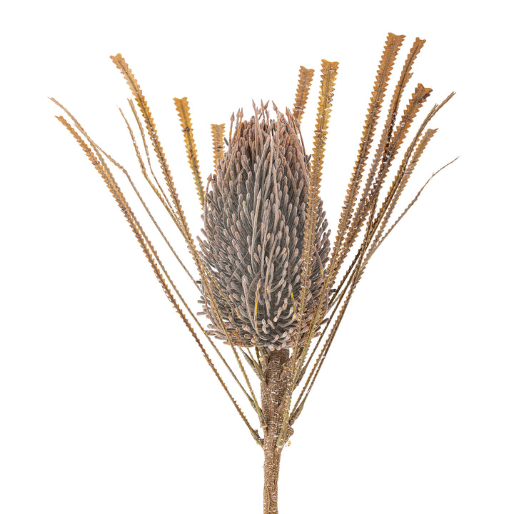 Palmflower Stilk, Brun, Kunstig Blomst