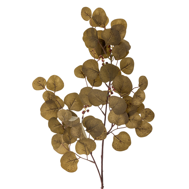 Eucalyptus Stilk, Brun, Kunstig Blomst