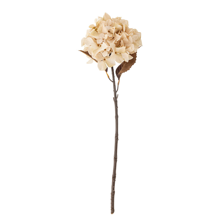 Hydrangea Stilk, Natur, Kunstig Blomst
